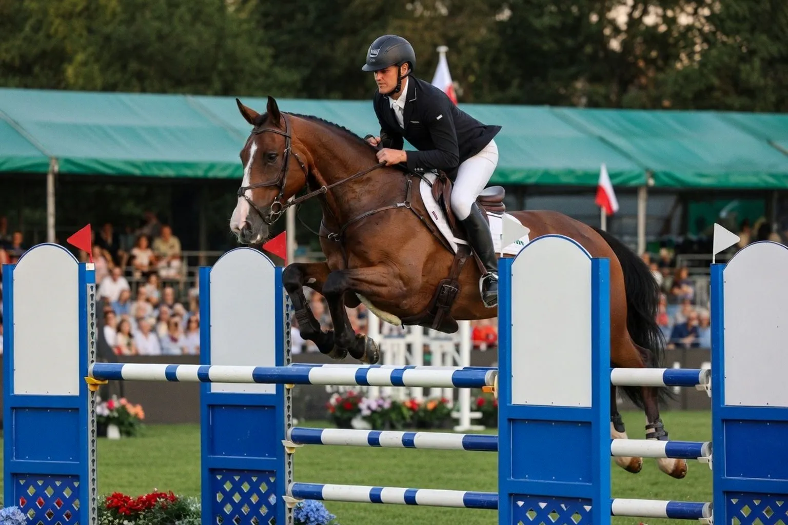 Burghley Horse Trials: jak budować karierę konia sportowego od podstaw