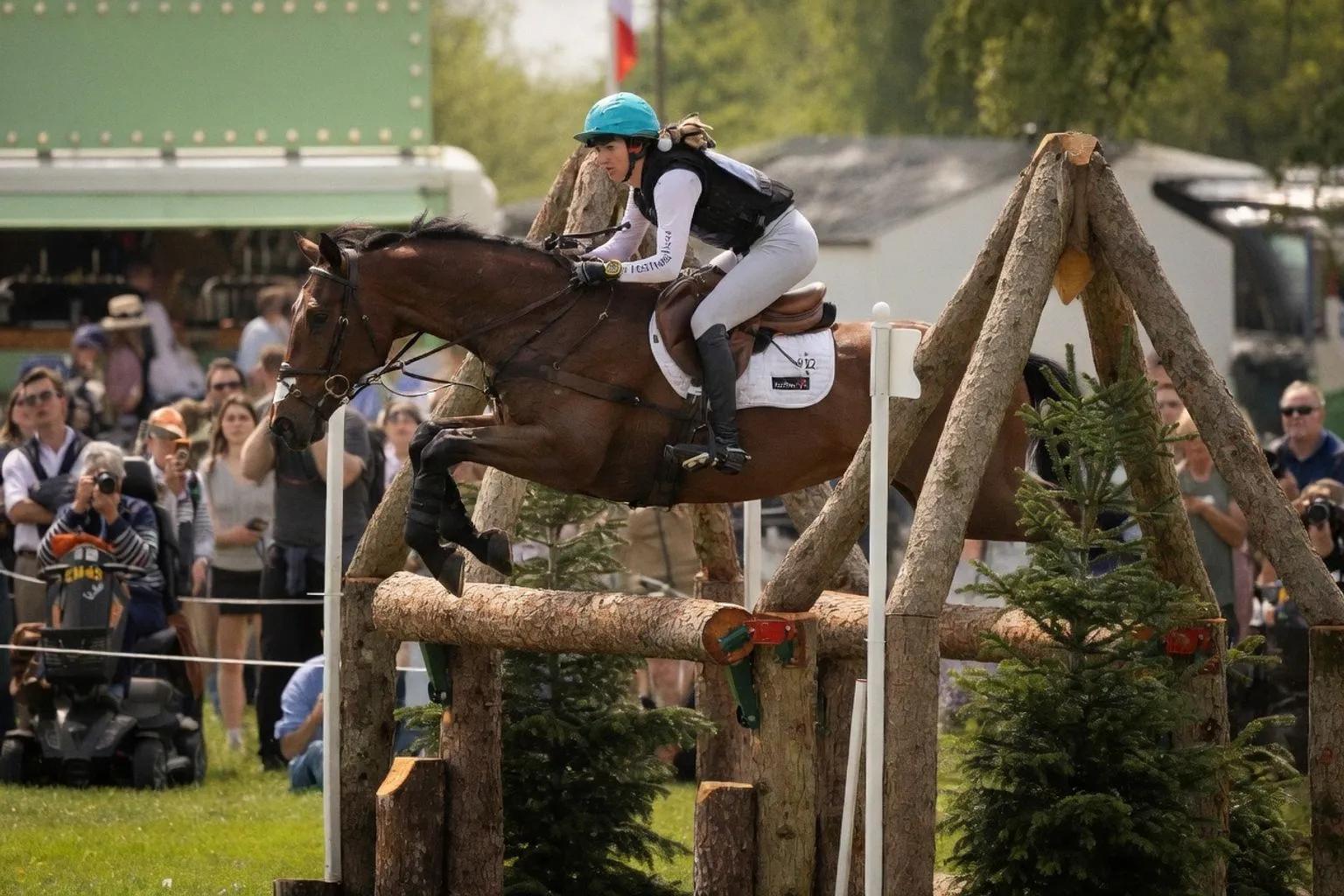Dublin Horse Show jako punkt odniesienia w wycenie koni sportowych
