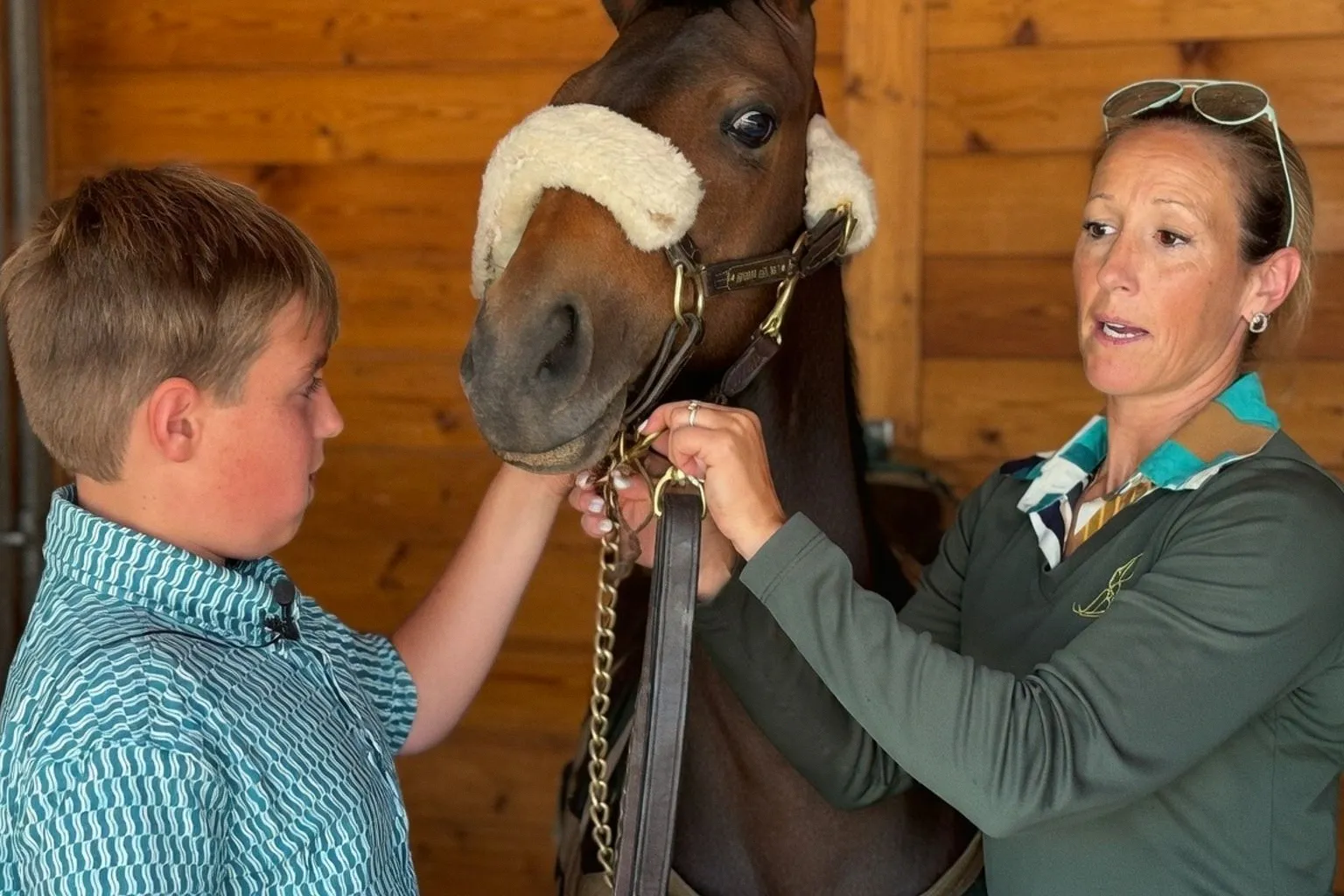 Dutch Sport Horse Sales: jak ocenić potencjał koni z nowej kolekcji?