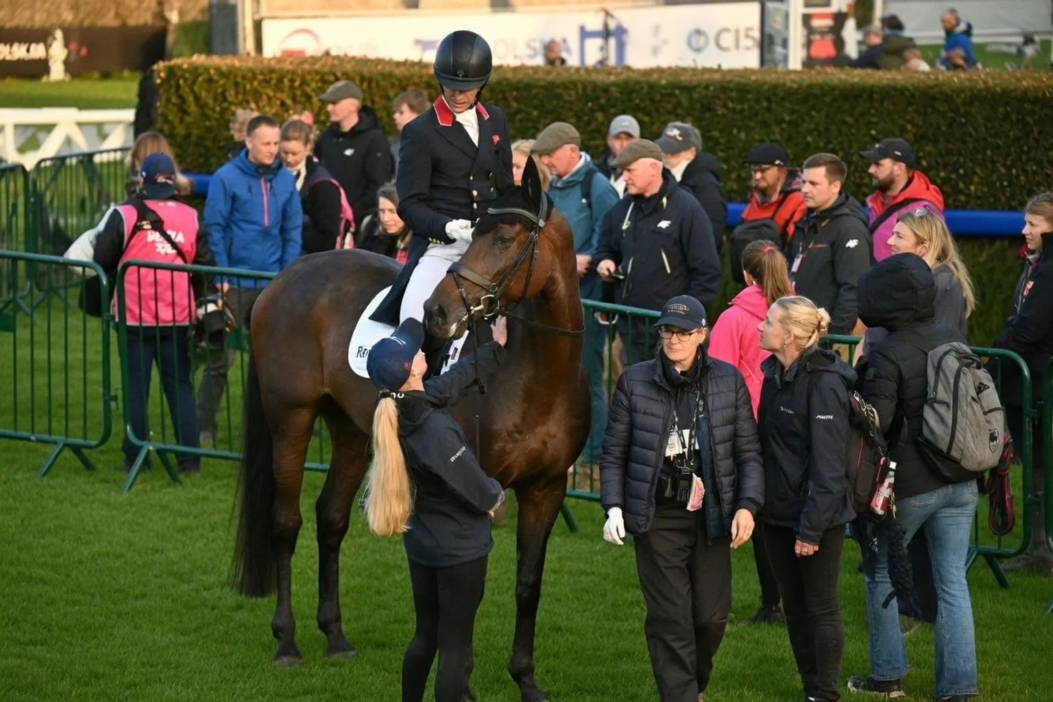 Strategie przygotowania koni sportowych na poziomie CCI5* na przykładzie Harry'ego Meade'a